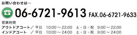 0667219613
