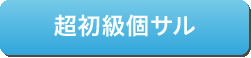 超初級個サル